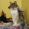 Отзыв от Аня Мещерякова